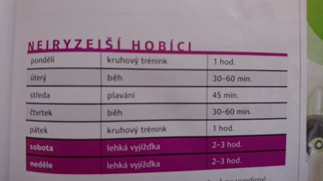 Nejryzejsi hobik
